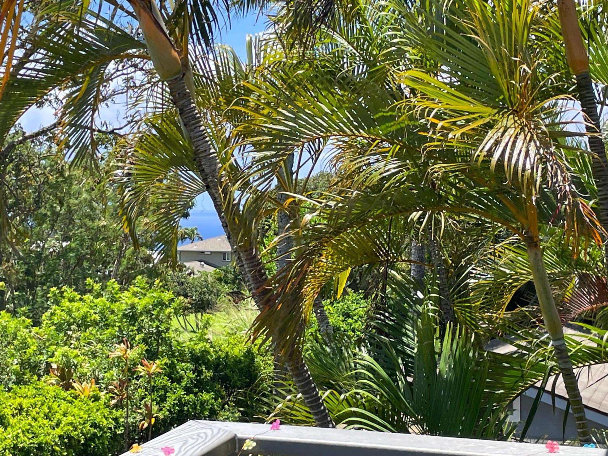 Puu Koa Palms Vacation Rental Haiku Buitenkant foto